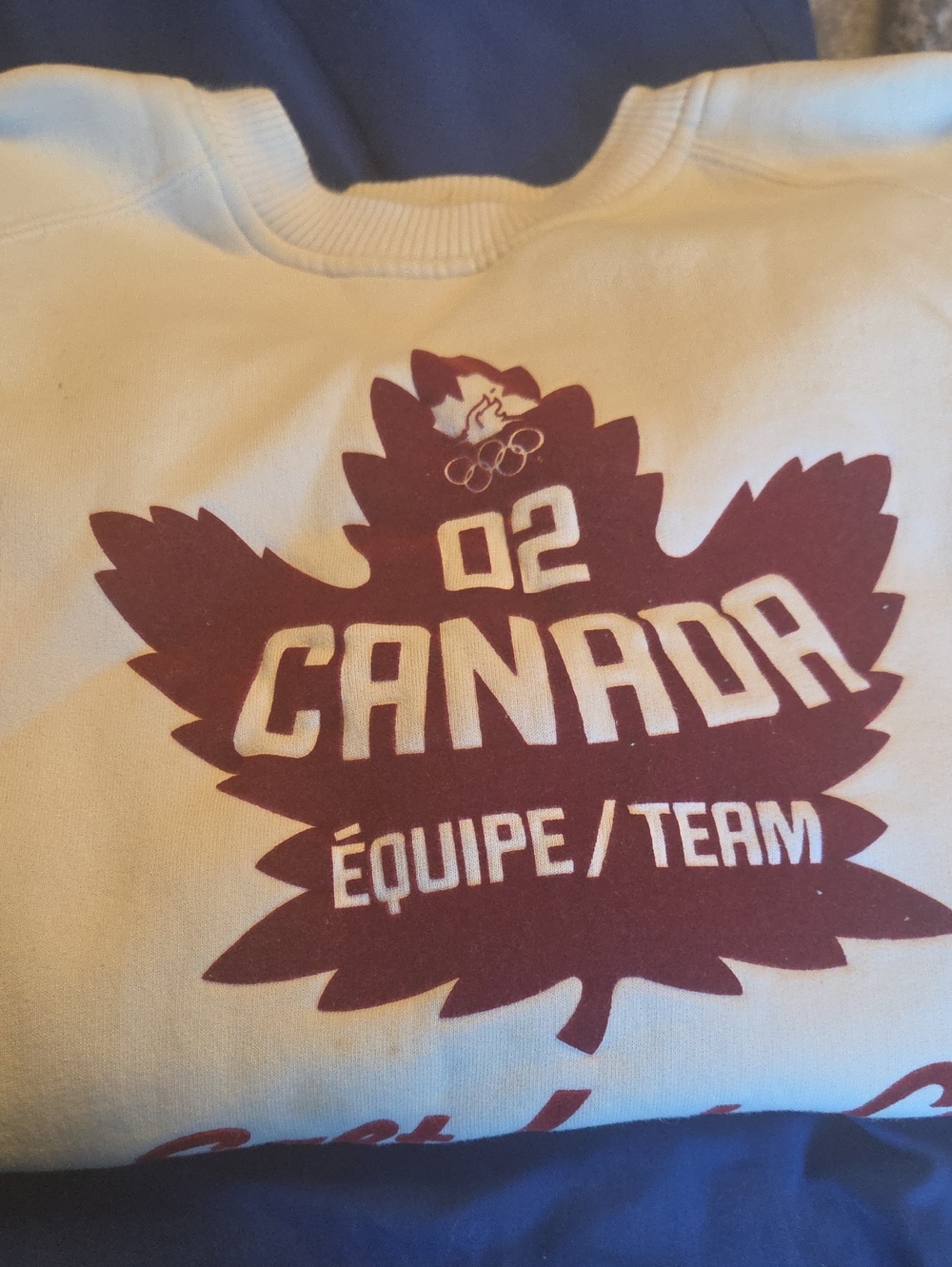 Roots Canada Équipe Crewneck Sweatshirt in Cream and Maroon